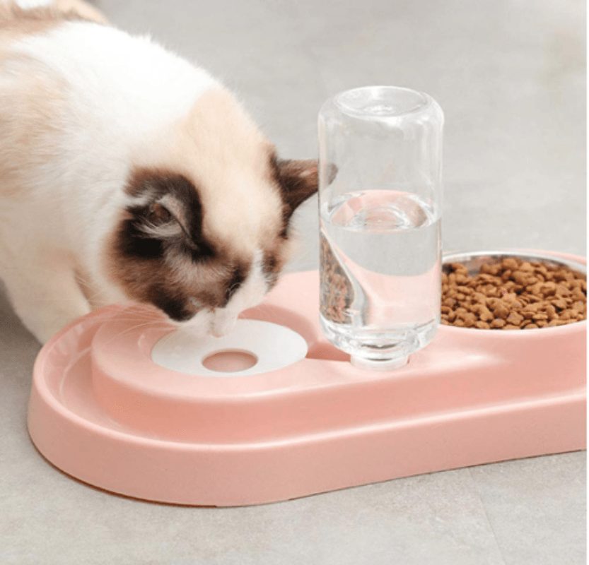 Automatic Pet Feeder and Water Dispenser with Double Stainless Steel Bowls