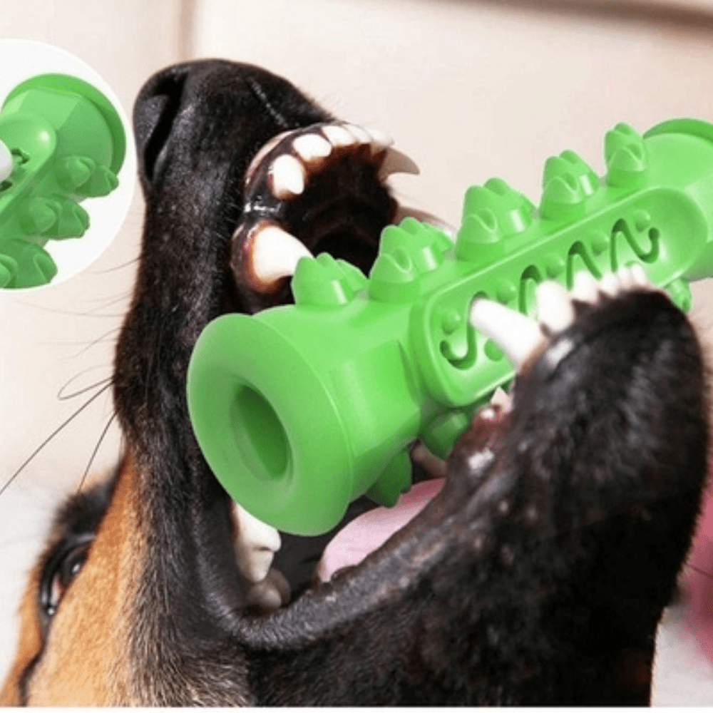 Durable rubber dog chew toy for aggressive chewers