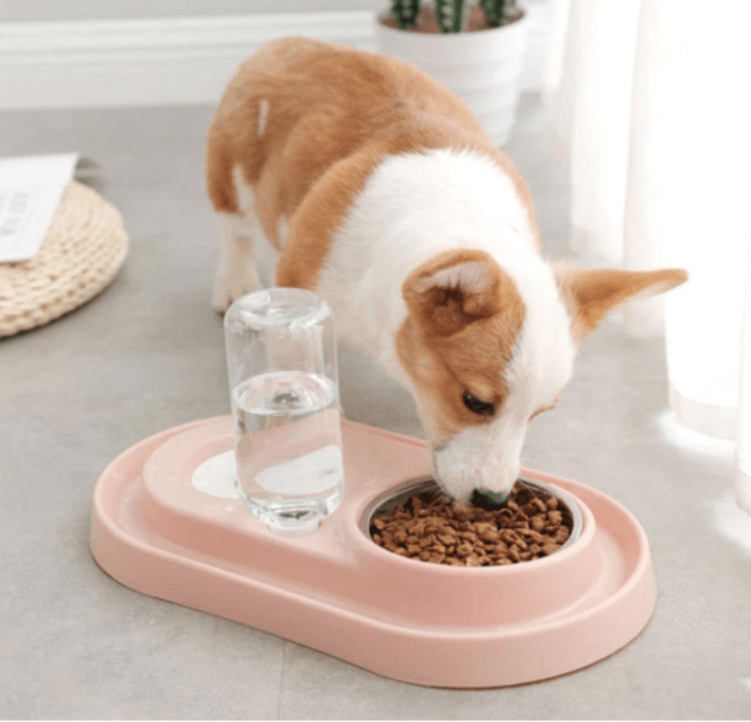 Automatic Pet Feeder and Water Dispenser with Double Stainless Steel Bowls