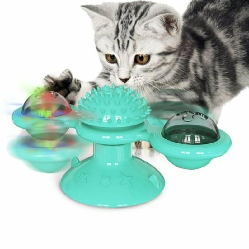 Cat playing with spinning LED windmill toy
