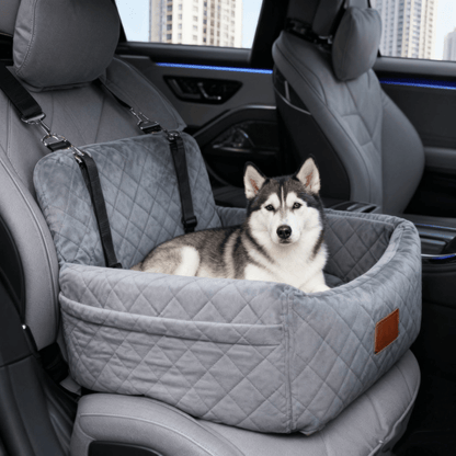 Dog car booster seat interior
