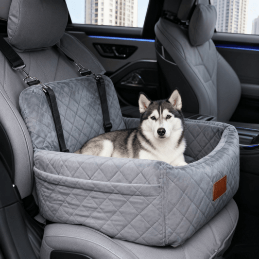 Dog car booster seat interior