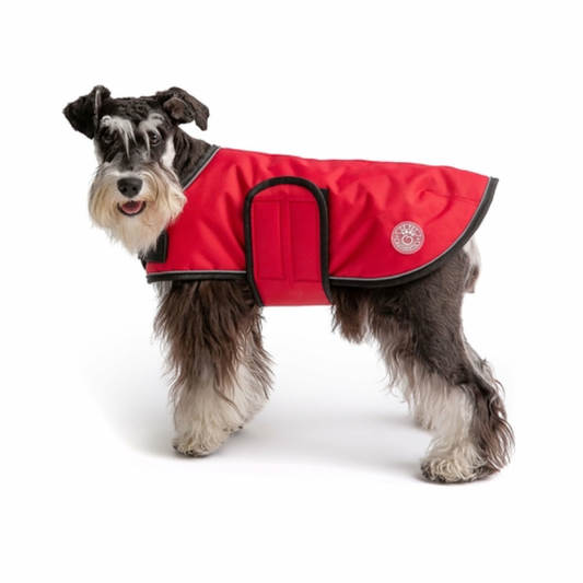 Dog wearing red waterproof blanket jacket