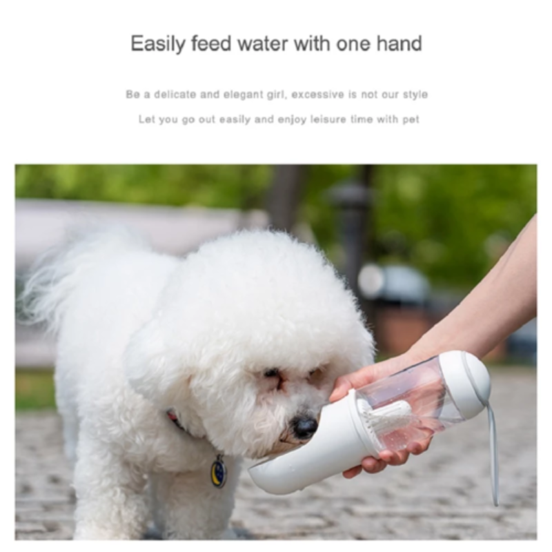 Portable outdoor pet water bottle for dogs and cats