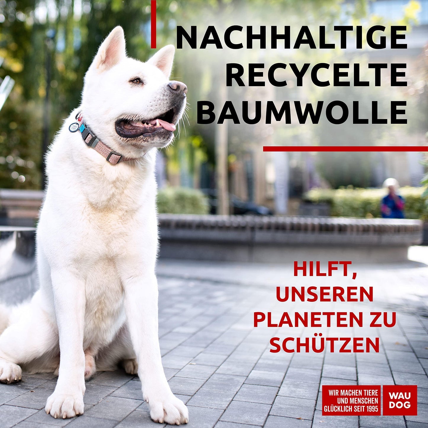 WAUDOG Reflective Cotton Dog Collar Eco Friendly Alt to Nylon Collar