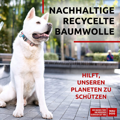 WAUDOG Reflective Cotton Dog Collar Eco Friendly Alt to Nylon Collar