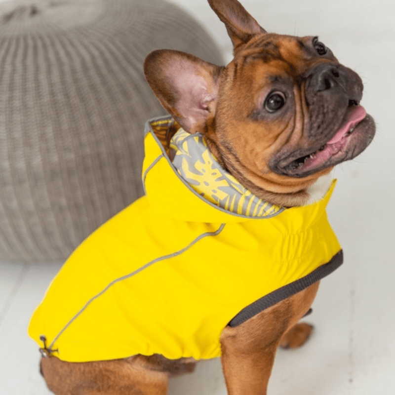 Elasto-Fit waterproof yellow dog raincoat