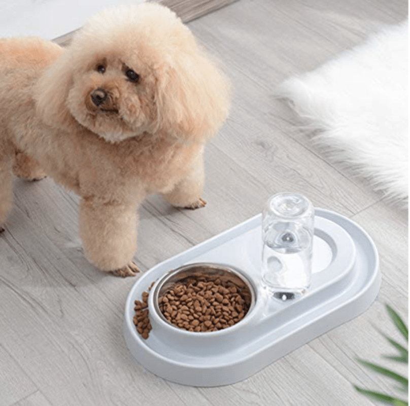 Automatic Pet Feeder and Water Dispenser with Double Stainless Steel Bowls