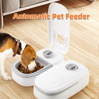 Automatic pet feeder and water dispenser for cats and dogs