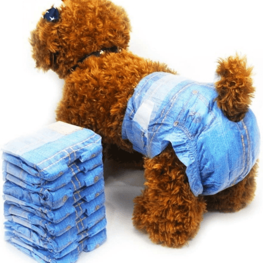 Jeans style dog diapers – CavaroPet
