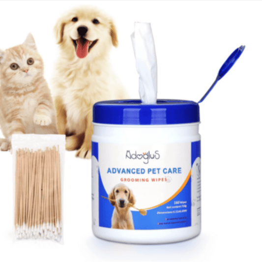 pet wipes with aloe and vitamin e for dogs and cats