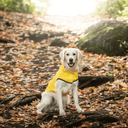 Elasto-Fit waterproof yellow dog raincoat
