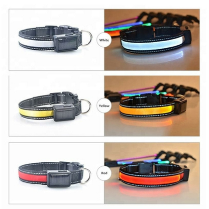 Solar and USB rechargeable LED dog collar