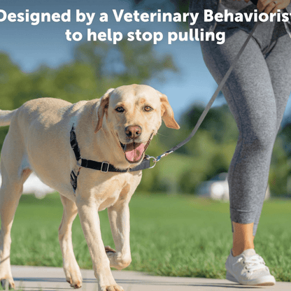 No-pull dog harness front view