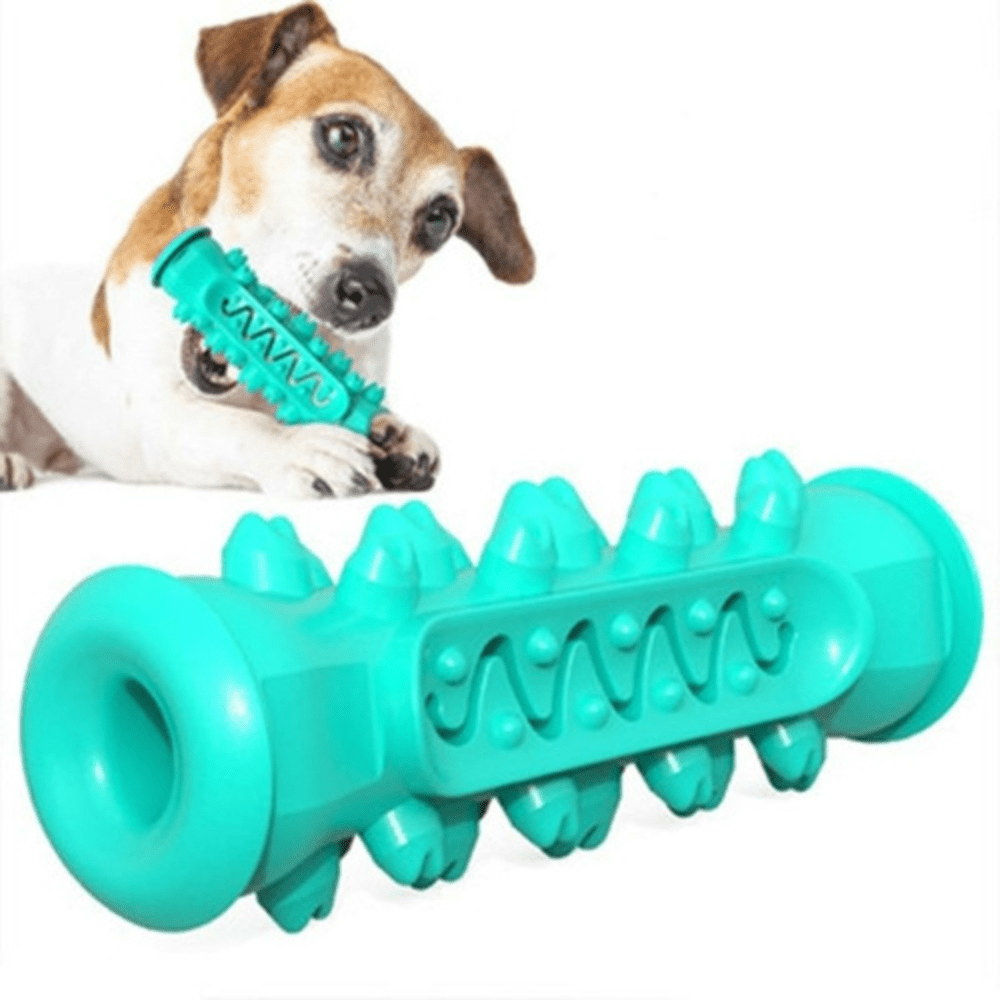 Durable rubber dog chew toy for aggressive chewers