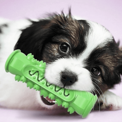 Durable rubber dog chew toy for aggressive chewers