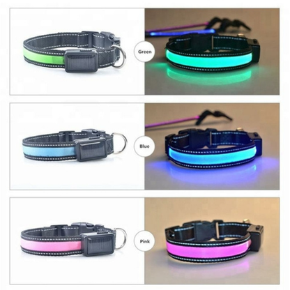 Solar and USB rechargeable LED dog collar