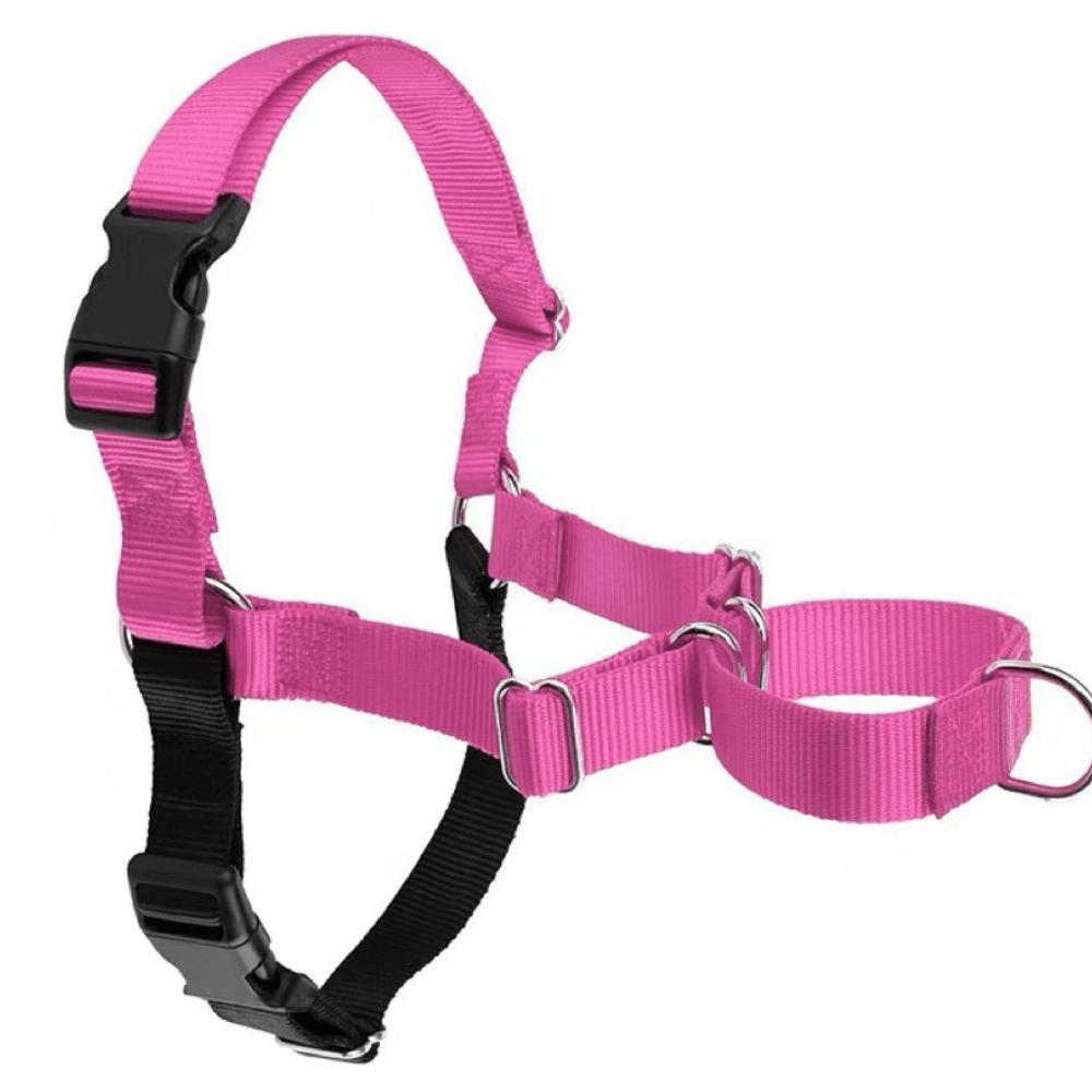 No-pull dog harness front view