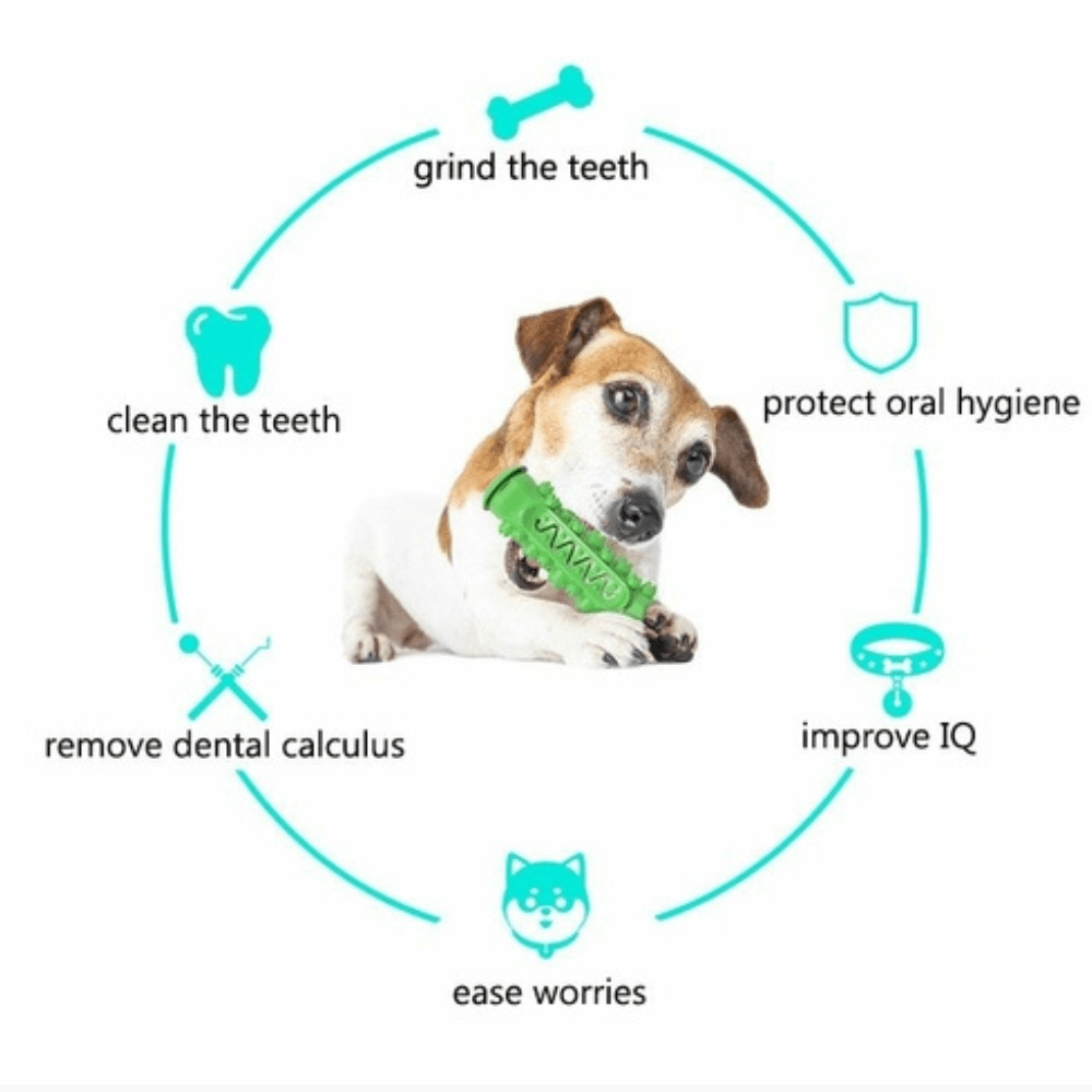 Durable rubber dog chew toy for aggressive chewers