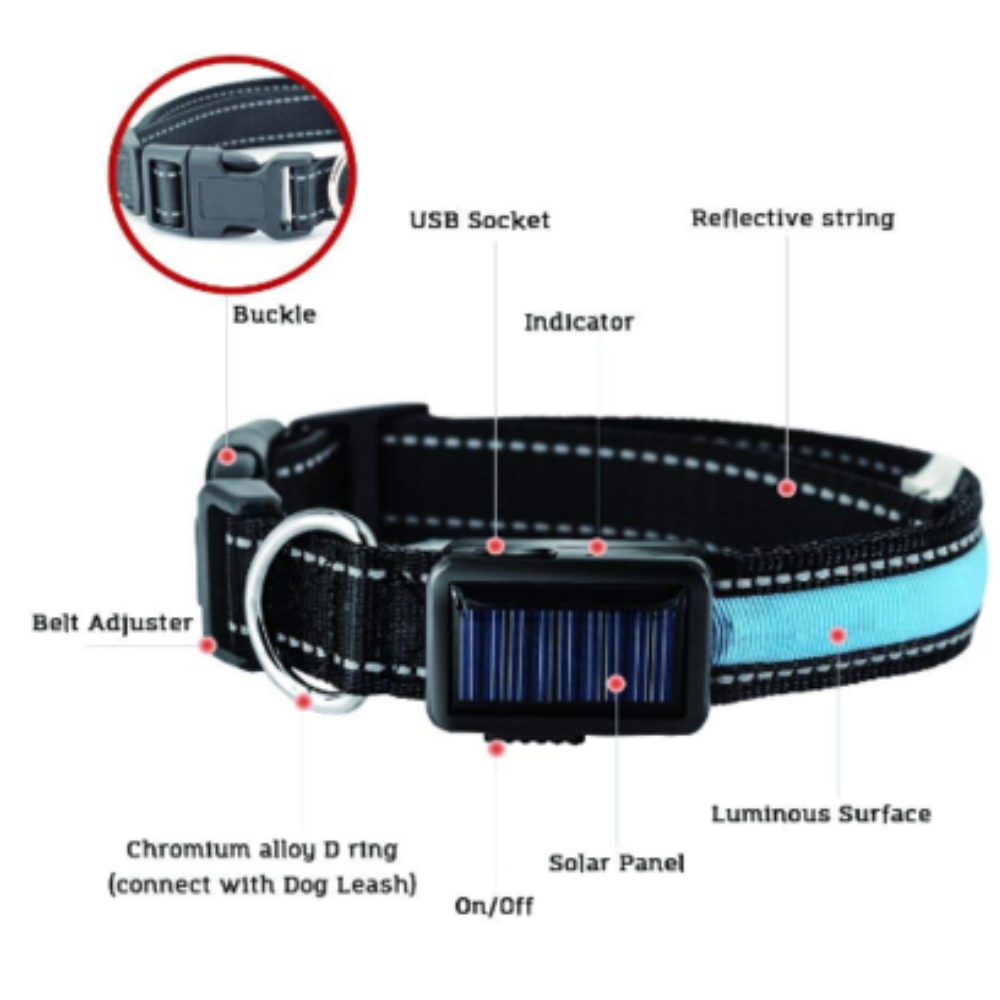 Solar and USB rechargeable LED dog collar