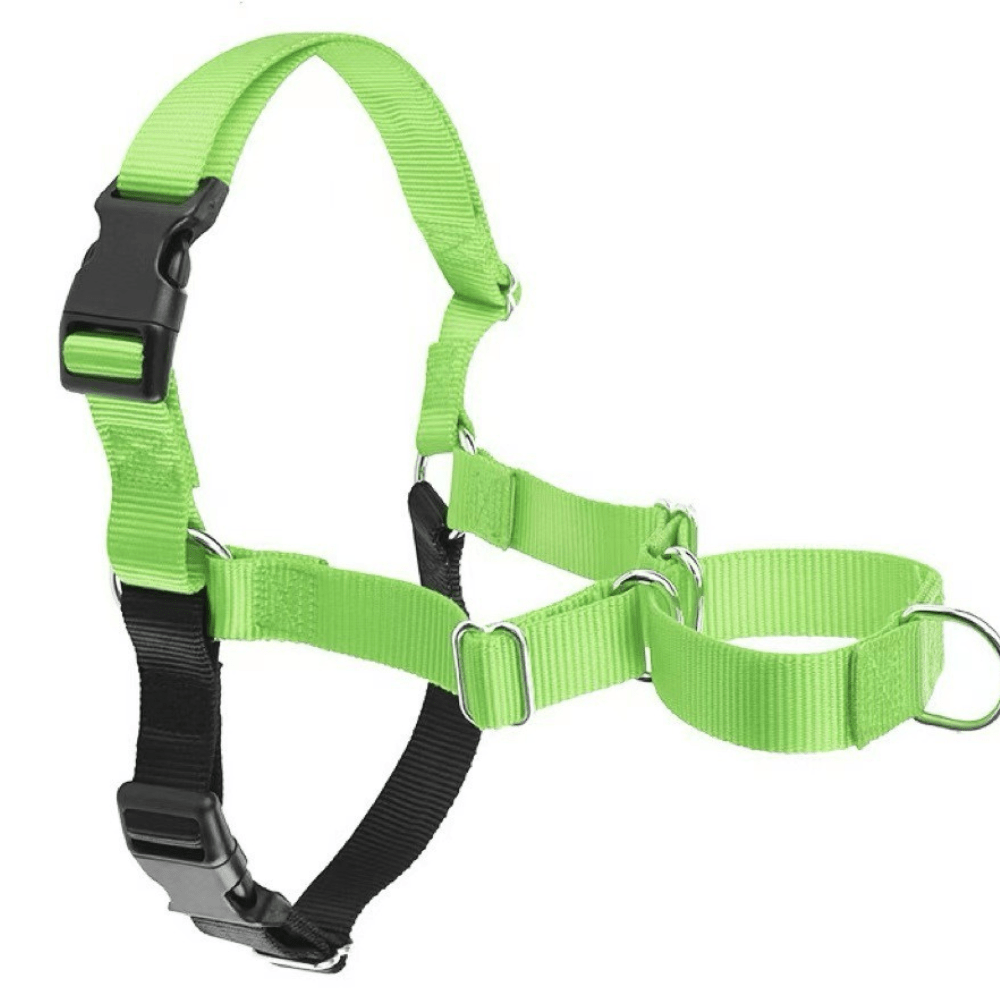 No-pull dog harness front view