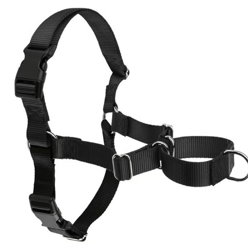 No-pull dog harness front view
