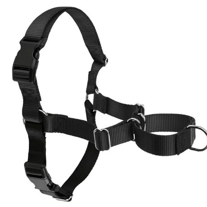 No-pull dog harness front view