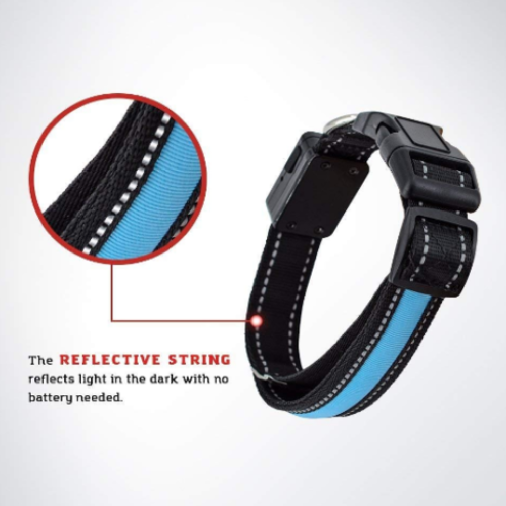 Solar and USB rechargeable LED dog collar