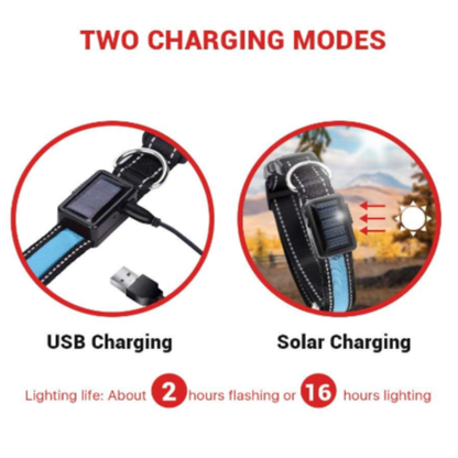Solar and USB rechargeable LED dog collar