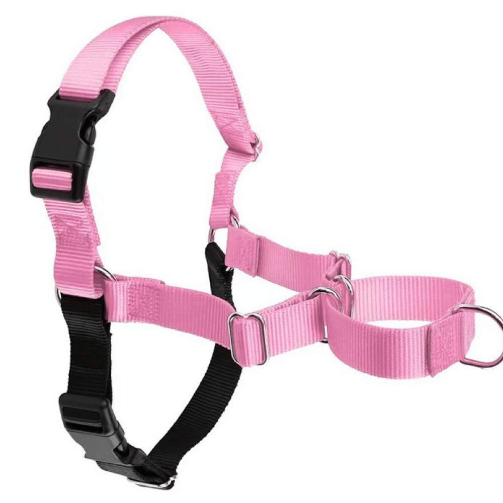 No-pull dog harness front view