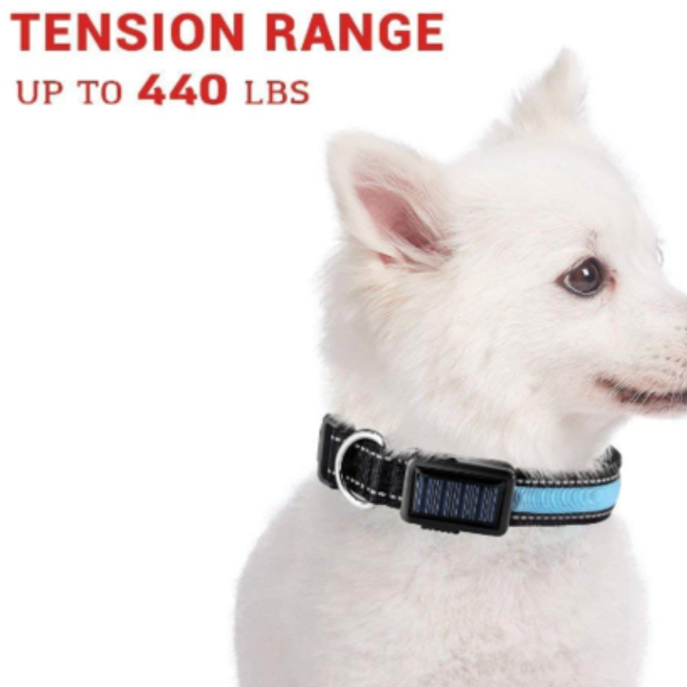 Solar and USB rechargeable LED dog collar
