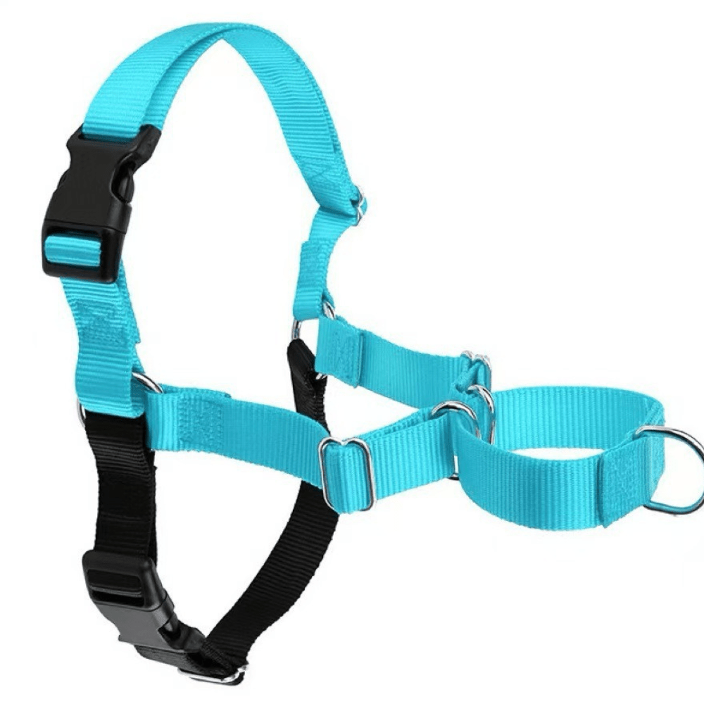 No-pull dog harness front view