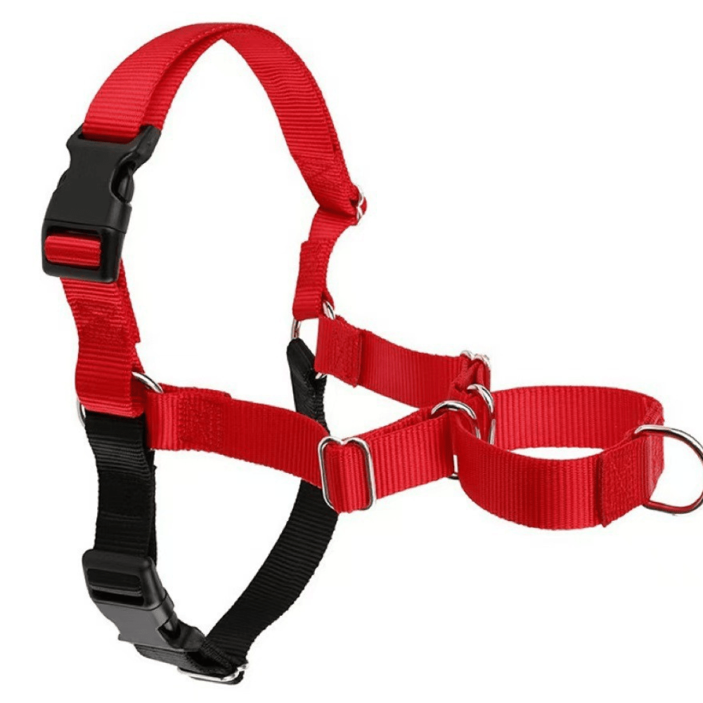 No-pull dog harness front view