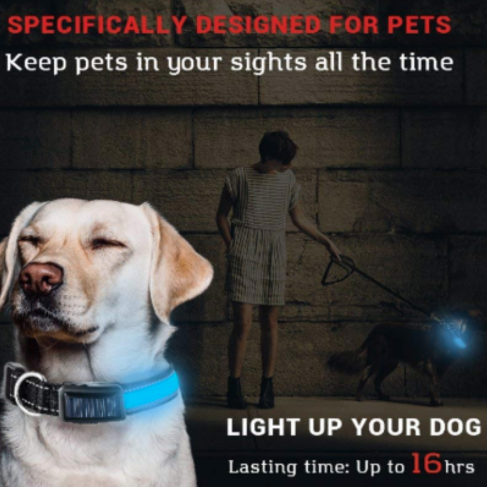 Solar and USB rechargeable LED dog collar