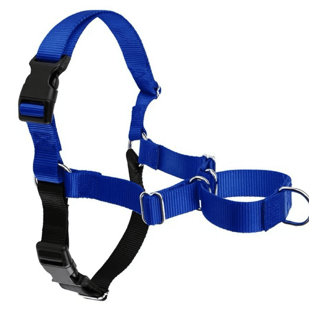 No-pull dog harness front view