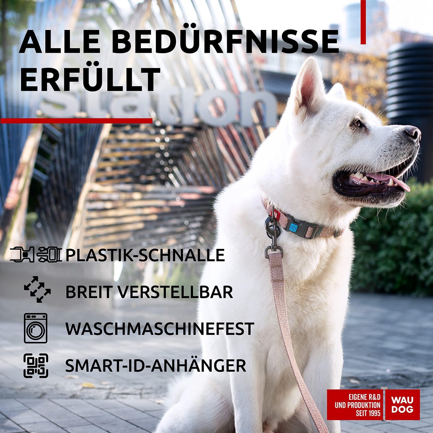 WAUDOG Reflective Cotton Dog Collar Eco Friendly Alt to Nylon Collar