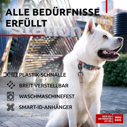 WAUDOG Reflective Cotton Dog Collar Eco Friendly Alt to Nylon Collar