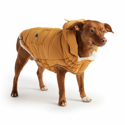 Yellow dog winter parka coat