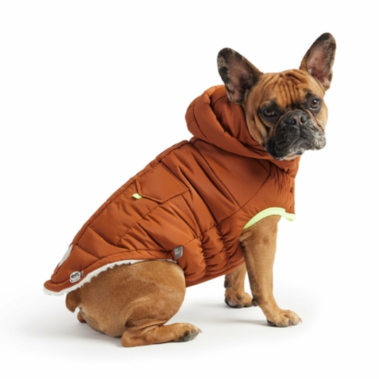 Dog wearing GF PET Super Puff Parka in hazel brown