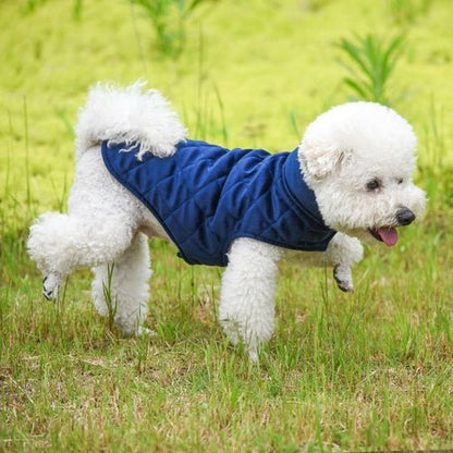 dog winter vest waterproof warm coat